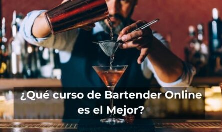 curso de bartender online